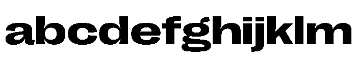 PPRightGroteskSpatial Bold Instance FONT