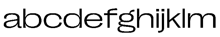PPRightGroteskSpatial Light Instance FONT