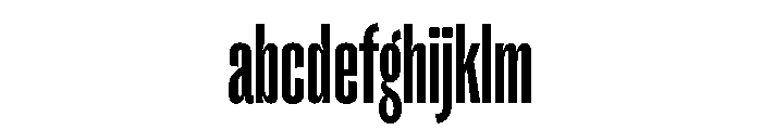 PPRightGroteskTall Bold Instance FONT