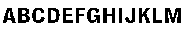 PPRightGroteskTextCasual Bold Instance Font UPPERCASE