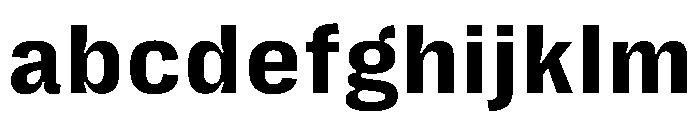 PPRightGroteskTextCasual Bold Instance FONT