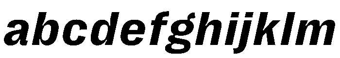 PPRightGroteskTextCasual BoldItalic Instance FONT