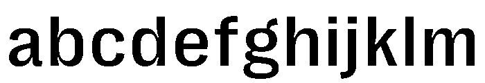 PPRightGroteskTextCasual Medium Instance FONT