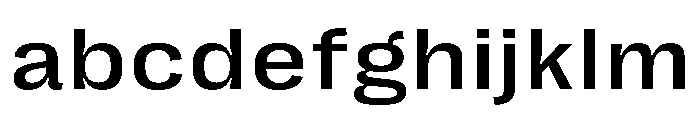 PPRightGroteskTextWide Medium Instance FONT