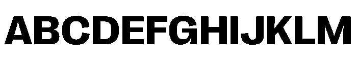 PPRightGroteskWide Bold Instance Font UPPERCASE