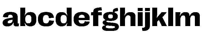 PPRightGroteskWide Bold Instance FONT