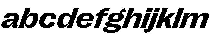 PPRightGroteskWide BoldItalic Instance FONT