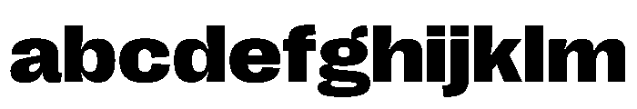 PPRightGroteskWide Dark Instance FONT