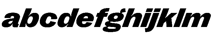 PPRightGroteskWide DarkItalic Instance FONT
