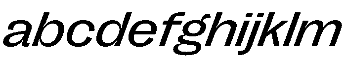 PPRightGroteskWide RegularItalic Instance FONT