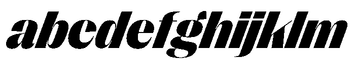 PPRightSans BlackItalic Instance FONT