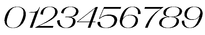 PPRightSansSpatial LightItalic Instance Font OTHER CHARS