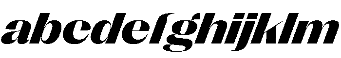 PPRightSansWide DarkItalic Instance FONT