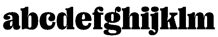 PPRightSerif Black Instance FONT