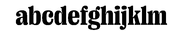 PPRightSerif CompactDark Instance FONT