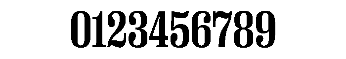 PPRightSerif NarrowBold Instance Font OTHER CHARS