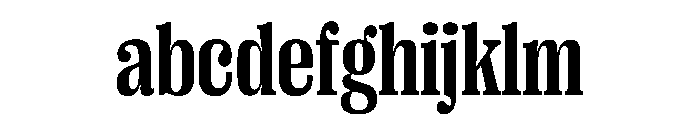 PPRightSerif NarrowBold Instance FONT