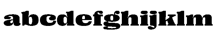 PPRightSerif SpatialBlack Instance FONT