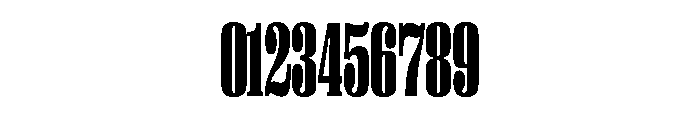 PPRightSerif TallBlack Instance Font OTHER CHARS