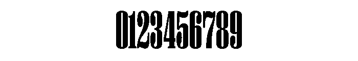 PPRightSerif TallDark Instance Font OTHER CHARS
