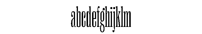PPRightSerif TallFine Instance FONT