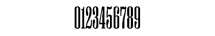 PPRightSerif TallRegular Instance Font OTHER CHARS