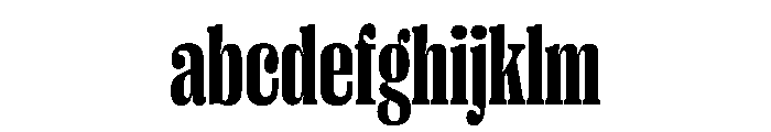 PPRightSerif TightDark Instance FONT