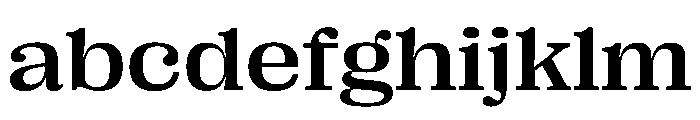 PPRightSerif WideMedium Instance FONT