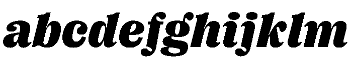 PPRightSerifItalic Black Instance FONT