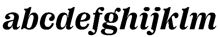 PPRightSerifItalic Bold Instance FONT