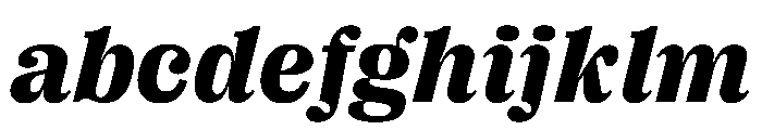 PPRightSerifItalic Dark Instance FONT