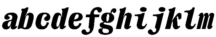 PPRightSerifMono BlackItalic FONT