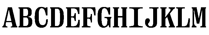 PPRightSerifMono Bold Instance Font UPPERCASE