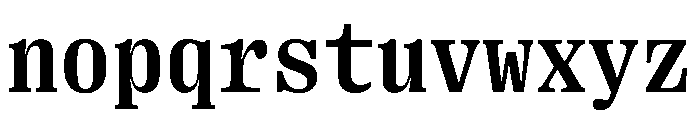 PPRightSerifMono Bold Instance Font LOWERCASE