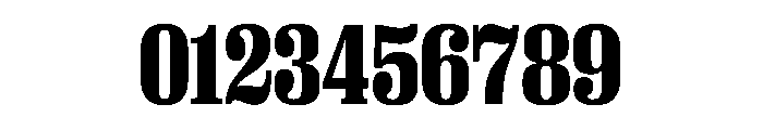 PPRightSerifNarrow Black Instance Font OTHER CHARS