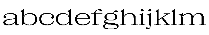 PPRightSerifSpatial Light Instance FONT