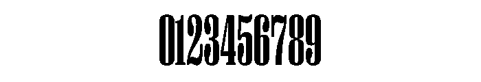 PPRightSerifTall Bold Instance Font OTHER CHARS
