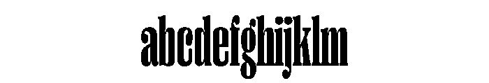 PPRightSerifTall Dark Instance FONT
