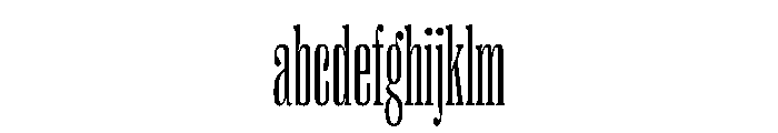 PPRightSerifTall Fine Instance FONT
