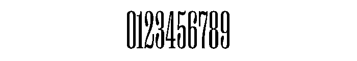 PPRightSerifTall Light Instance Font OTHER CHARS
