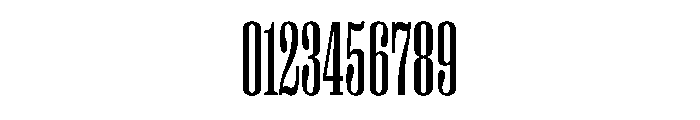 PPRightSerifTall Regular Instance Font OTHER CHARS