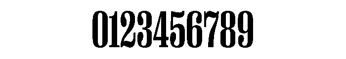 PPRightSerifTight Bold Instance Font OTHER CHARS