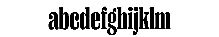PPRightSerifTight Dark Instance FONT