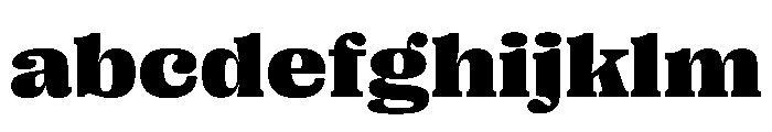 PPRightSerifWide Black Instance FONT