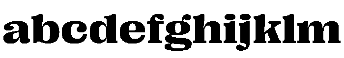 PPRightSerifWide Dark Instance FONT