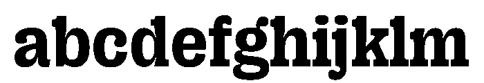 PPRightSlab Bold Instance FONT