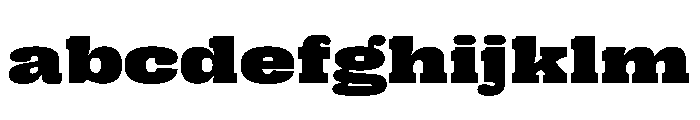 PPRightSlab SpatialBlack Instance FONT