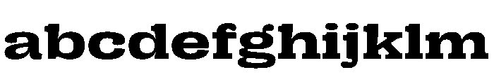 PPRightSlab SpatialBold Instance FONT