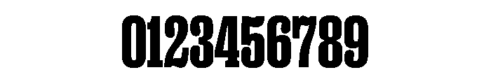 PPRightSlab TightBlack Instance Font OTHER CHARS