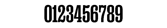 PPRightSlab TightBold Instance Font OTHER CHARS